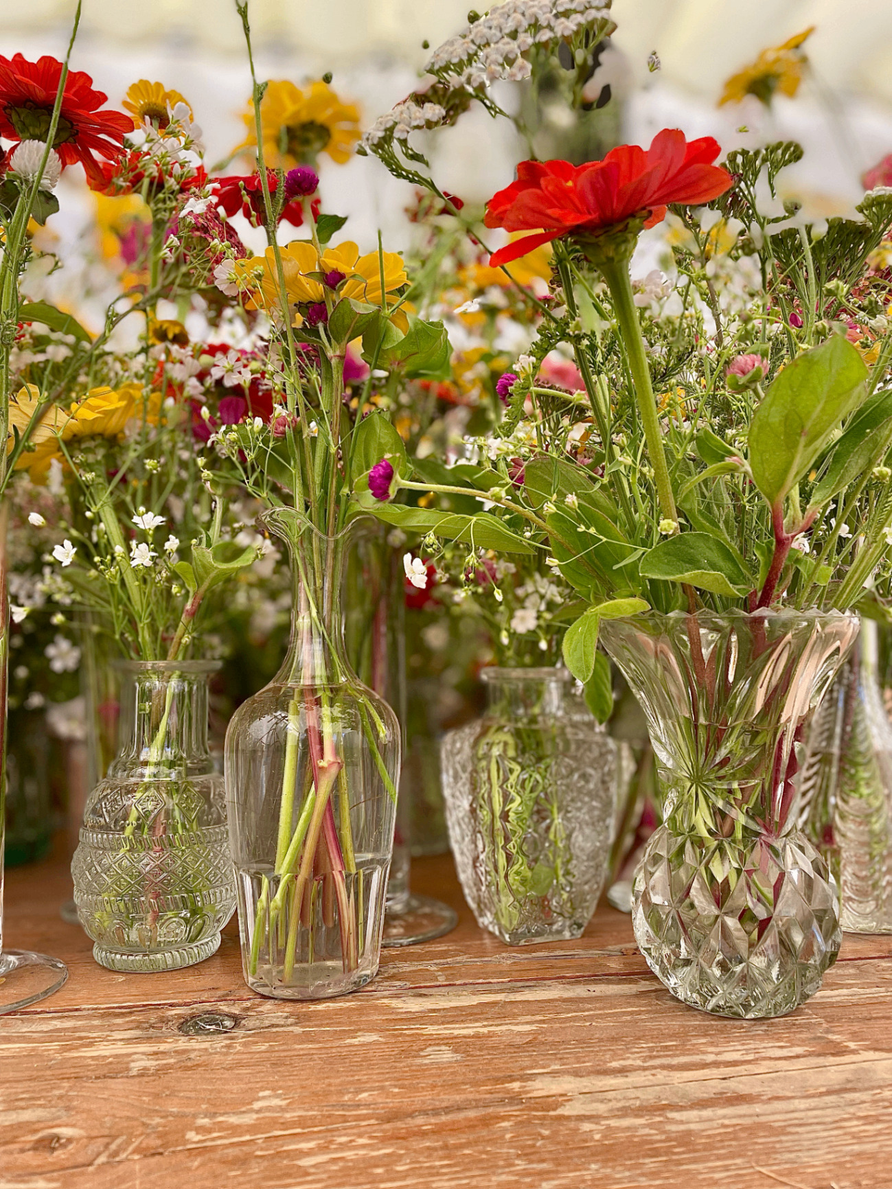 SOLIFLORES EN VERRE - DIVERS